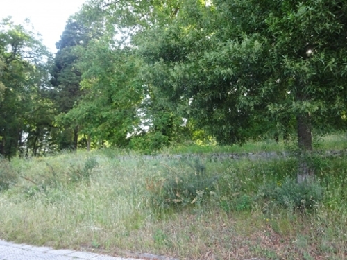 Souto Castro Daire terreno foto 335412