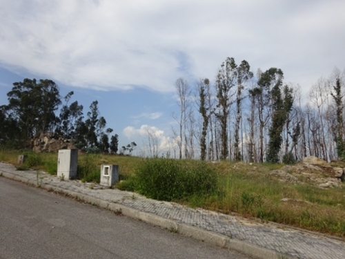 Souto Castro Daire terreno foto 335414
