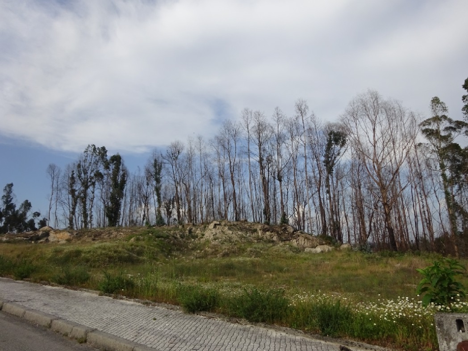 à venda terreno Souto Castro Daire 2