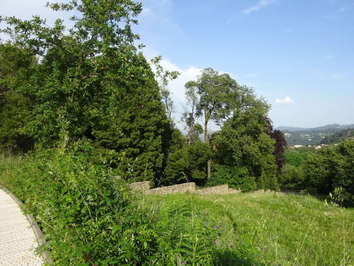  à venda terreno Souto Castro Daire 4