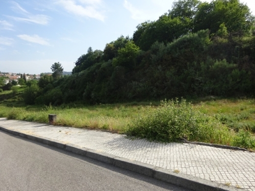 Souto Castro Daire terreno foto 335424