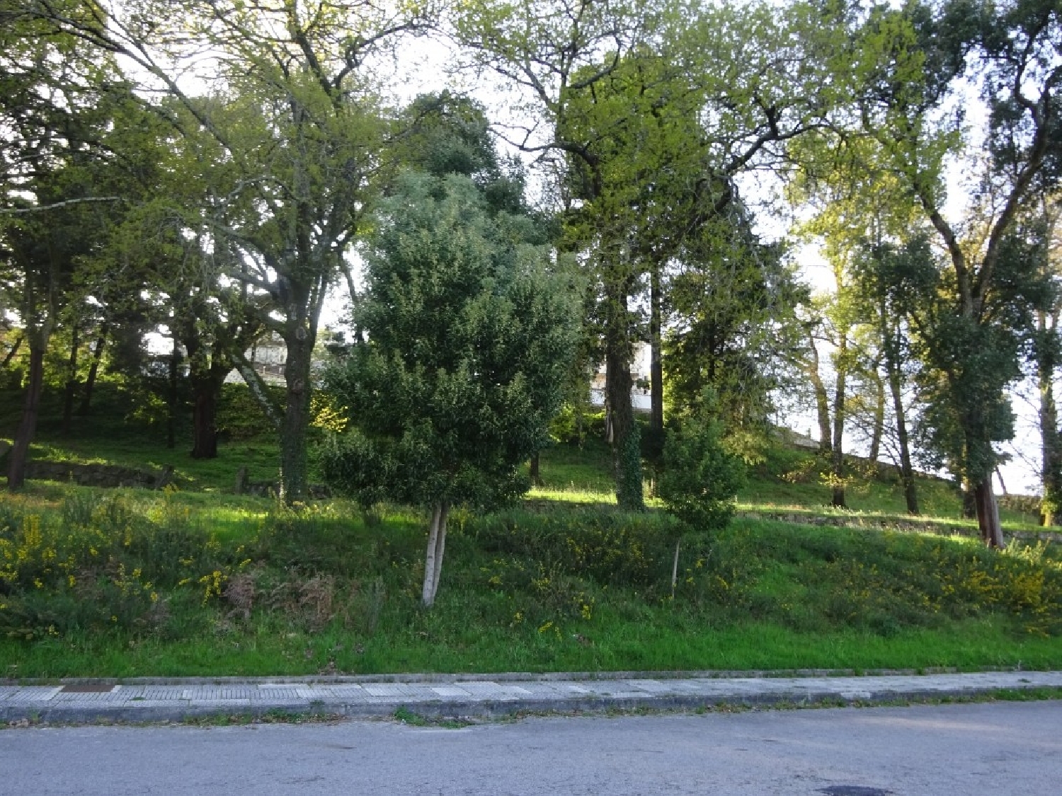 en venta terreno Souto Castro Daire 3