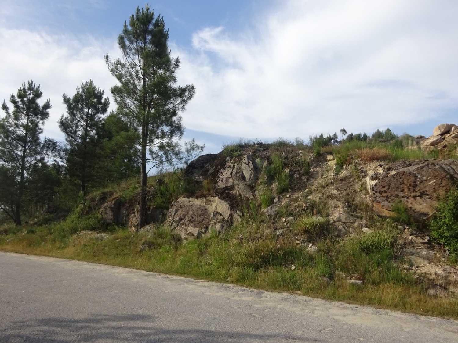 en venta terreno Souto Castro Daire 2