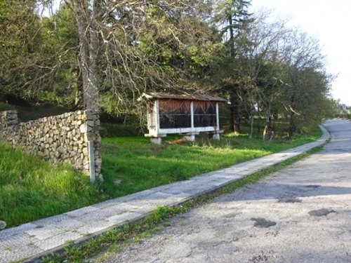 Souto Castro Daire terreno foto 335474