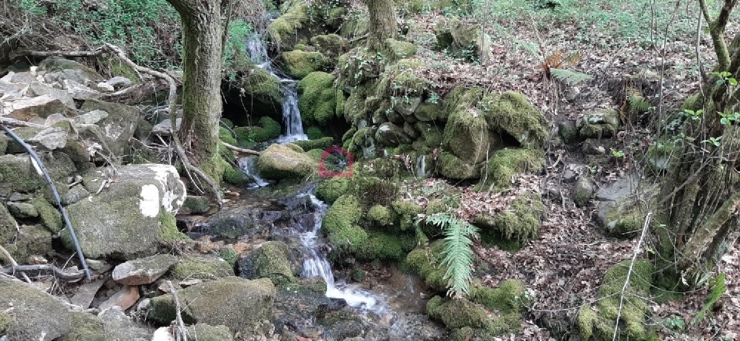 te koop terrein Talhadas Sever Do Vouga 2