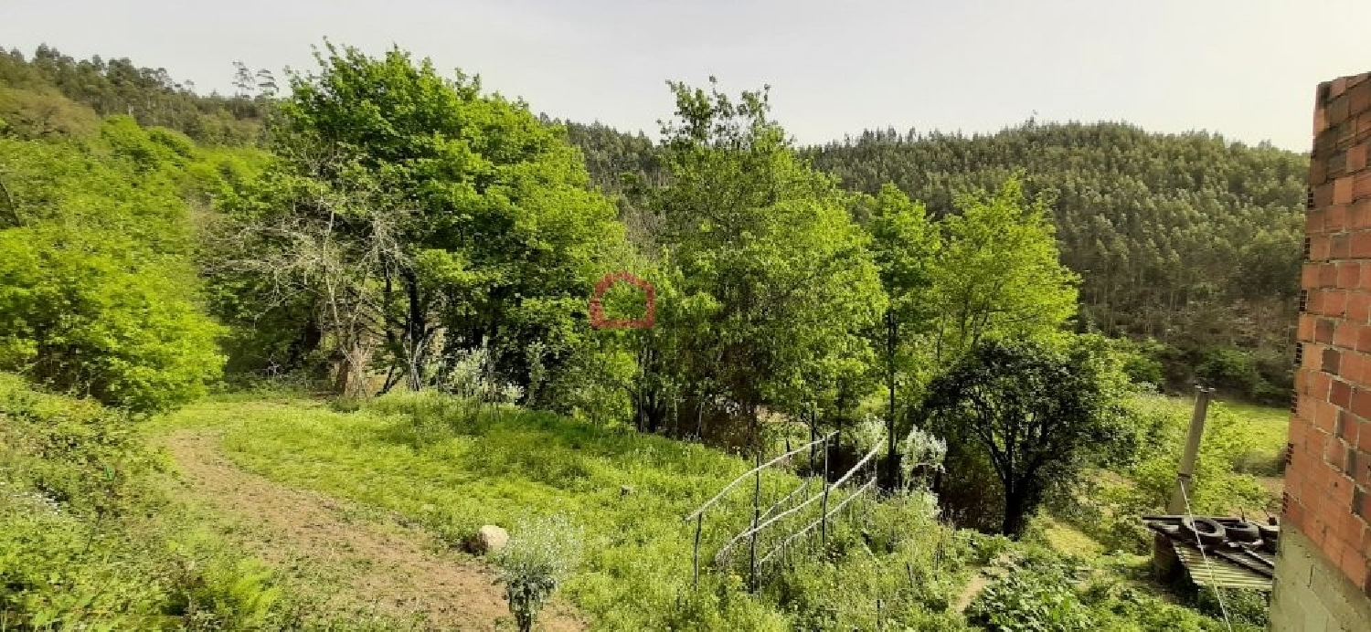  te koop terrein Talhadas Sever Do Vouga 5