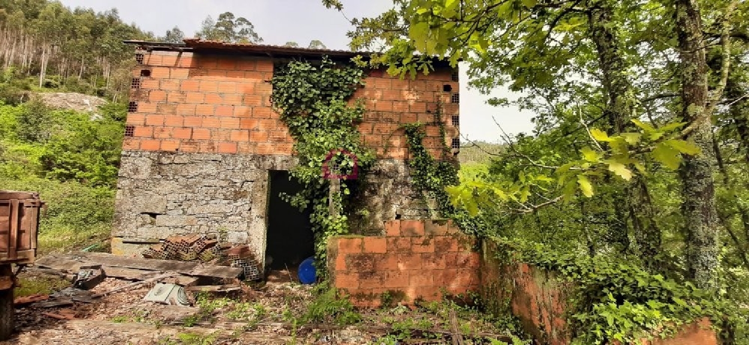  te koop terrein Talhadas Sever Do Vouga 6