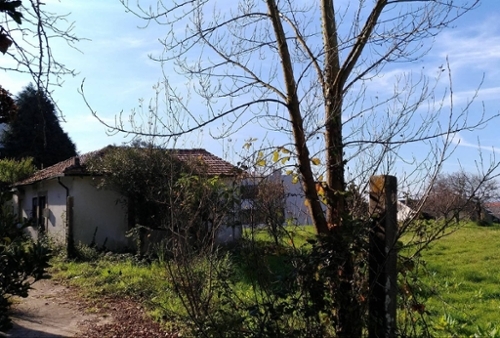 Valadares Baião terreno foto 335331