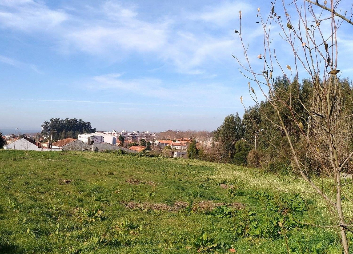  à venda terreno Valadares Baião 3