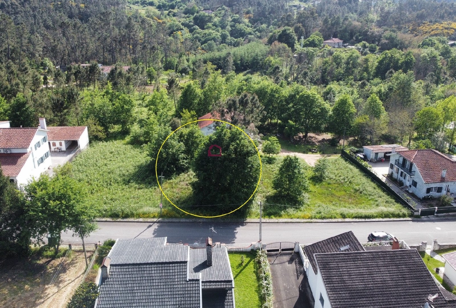  kaufen Grundstück Várzea Cinfães 6