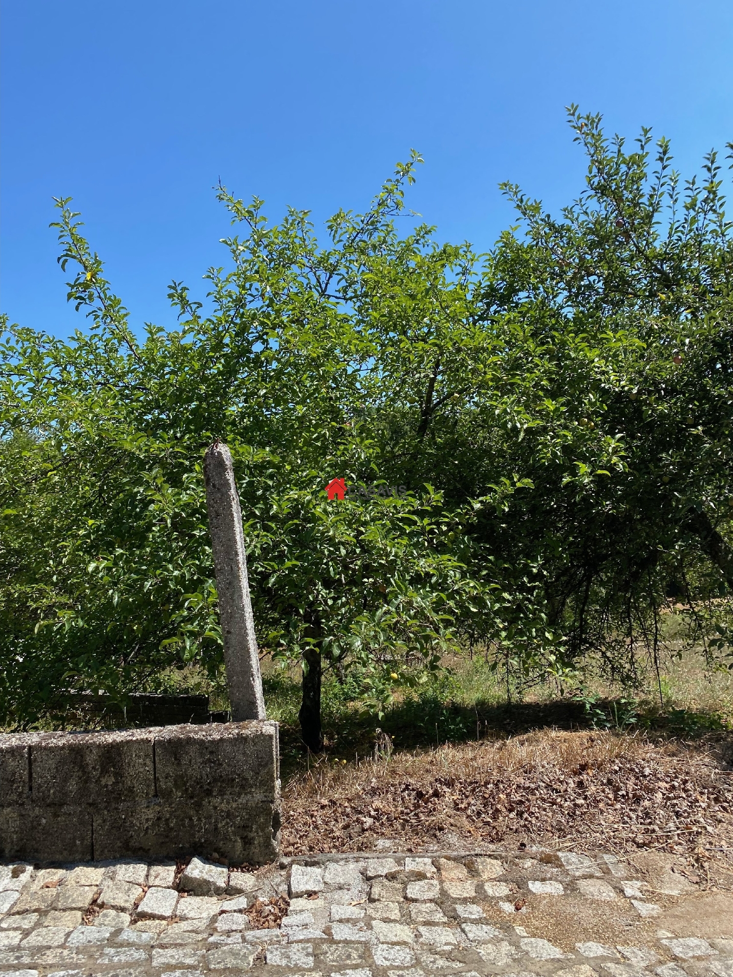  à venda terreno Vila Nova de Paiva Vila Nova De Paiva 5