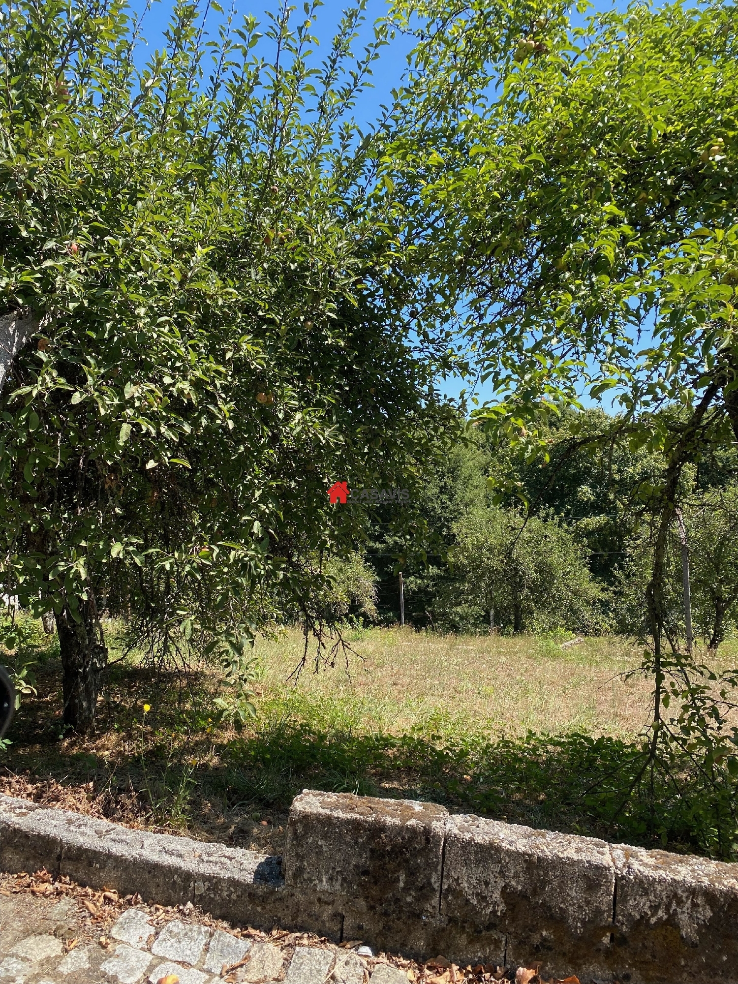  à venda terreno Vila Nova de Paiva Vila Nova De Paiva 7