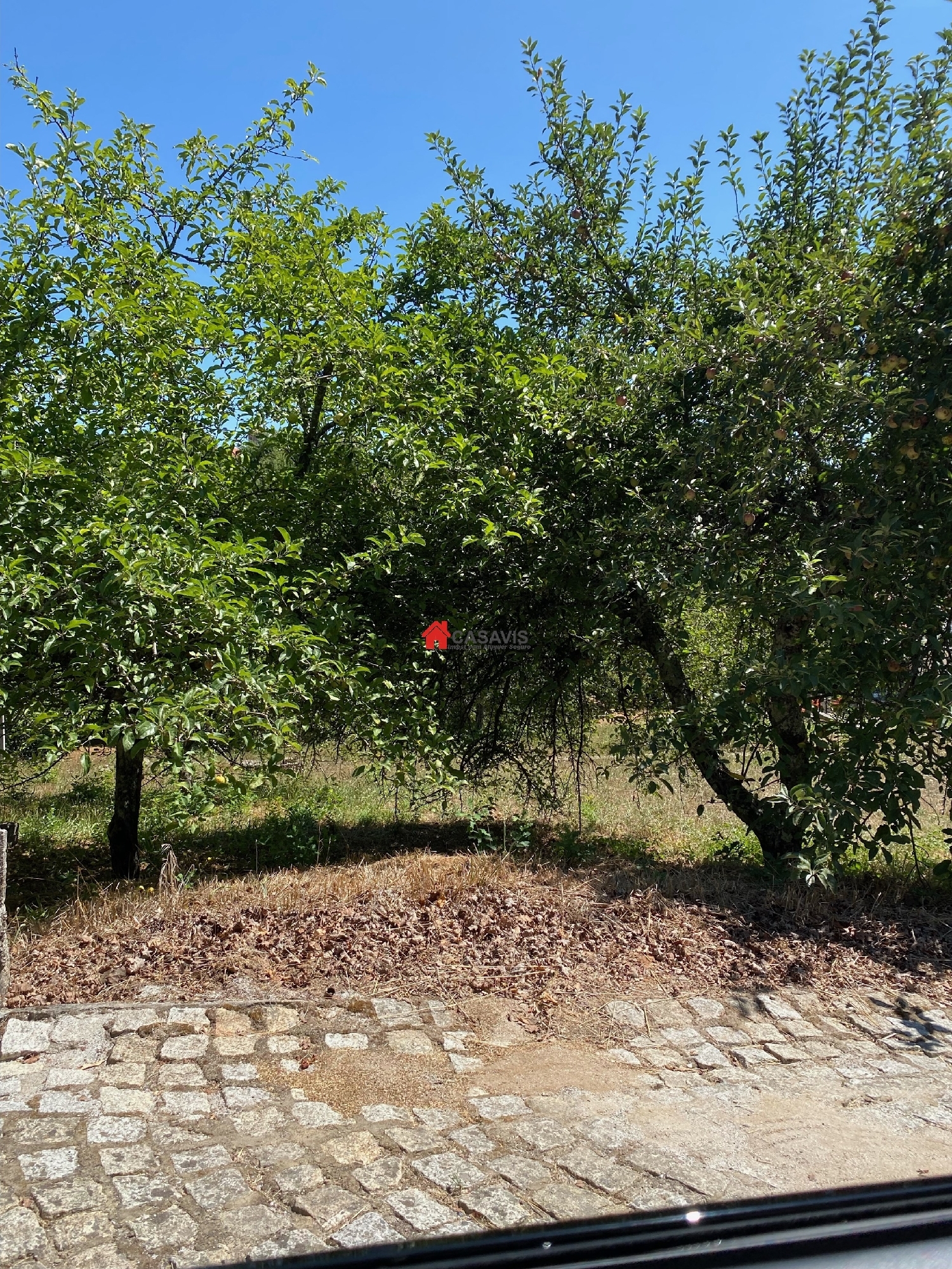  à venda terreno Vila Nova de Paiva Vila Nova De Paiva 8