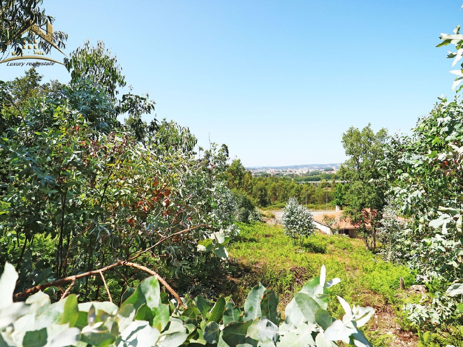  kaufen Grundstück Vila Nova de Famalicão Vila Nova De Famalicão 6