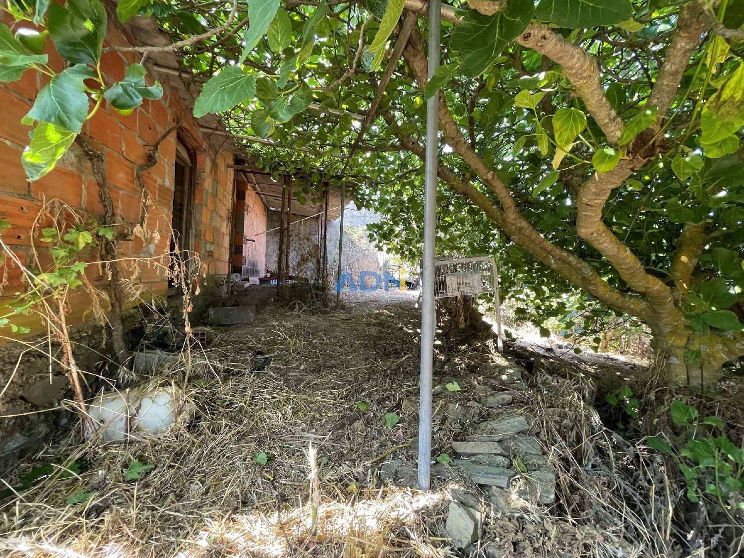  à vendre terrain Vila Velha de Ródão Vila Velha De Ródão 8