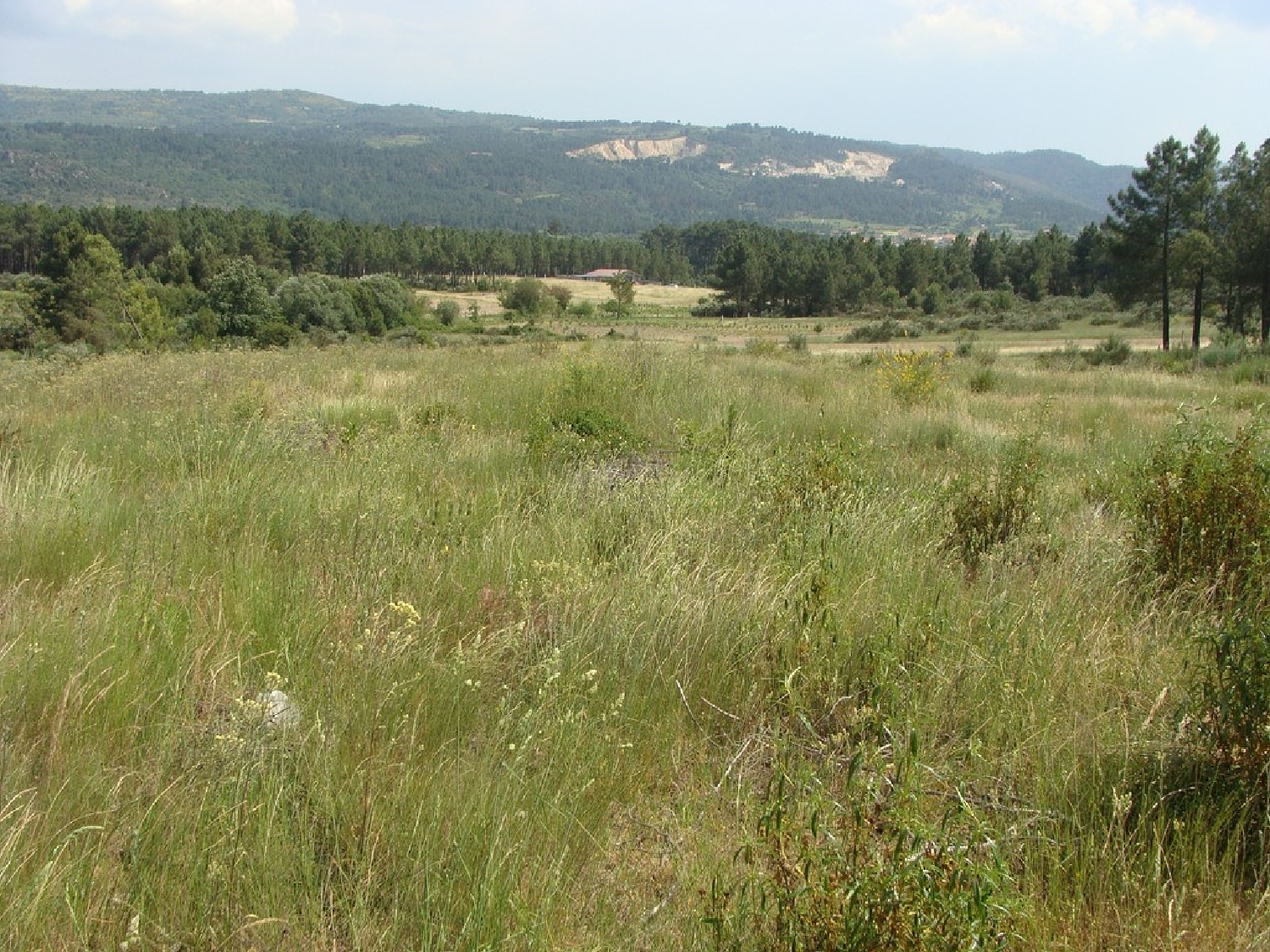 te koop terrein Vila Verde da Raia Chaves 3
