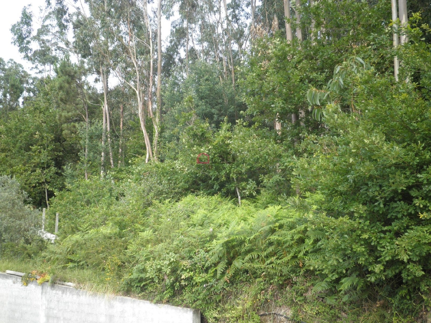  te koop terrein Vouga Águeda 4