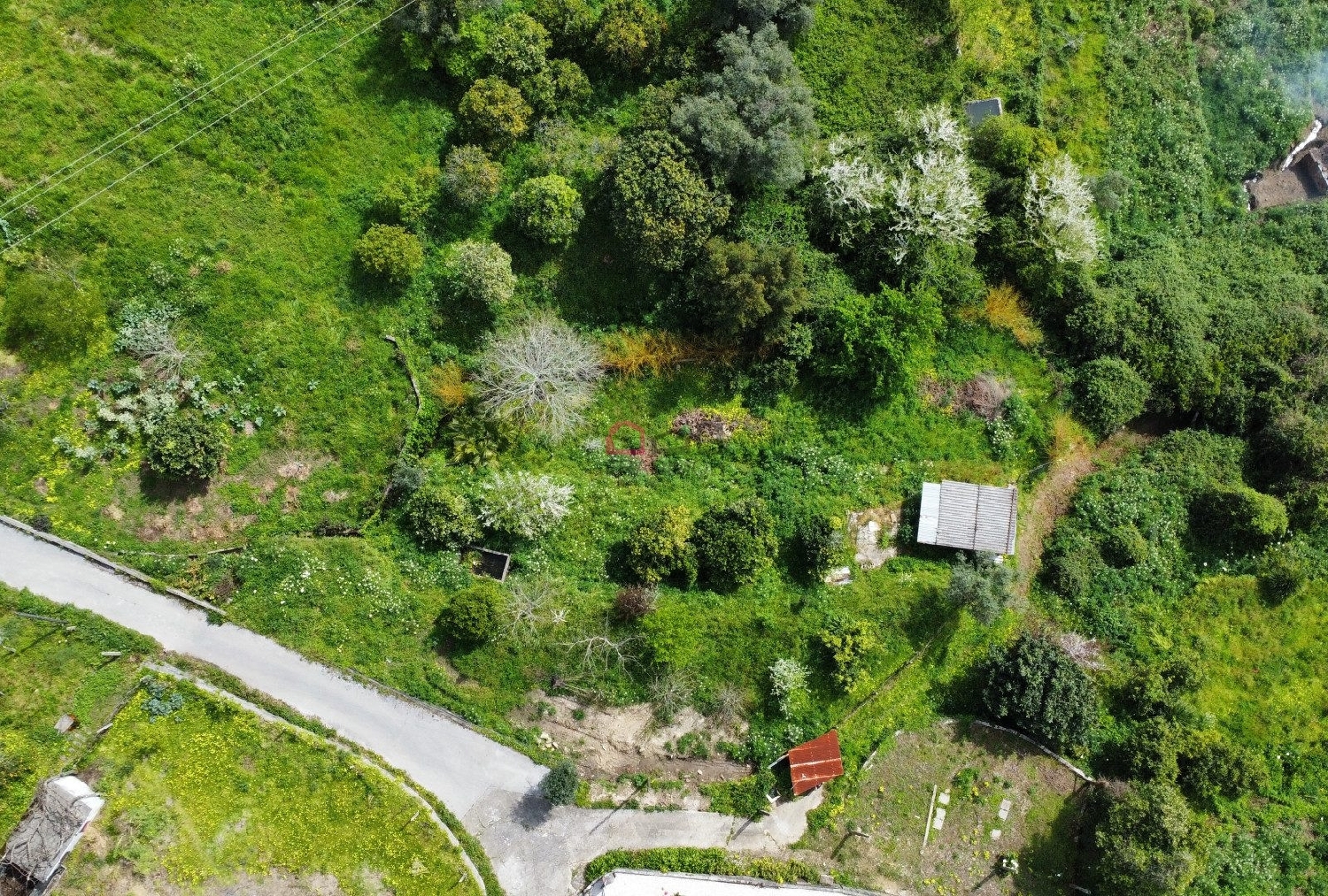 te koop terrein Vouga Águeda 2