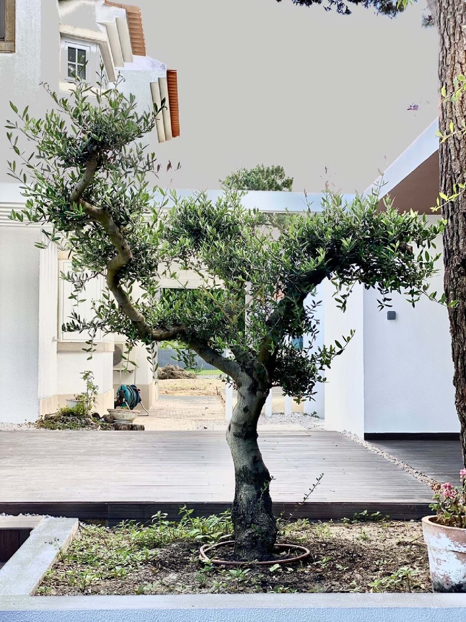  à venda vila Almada Almada 7