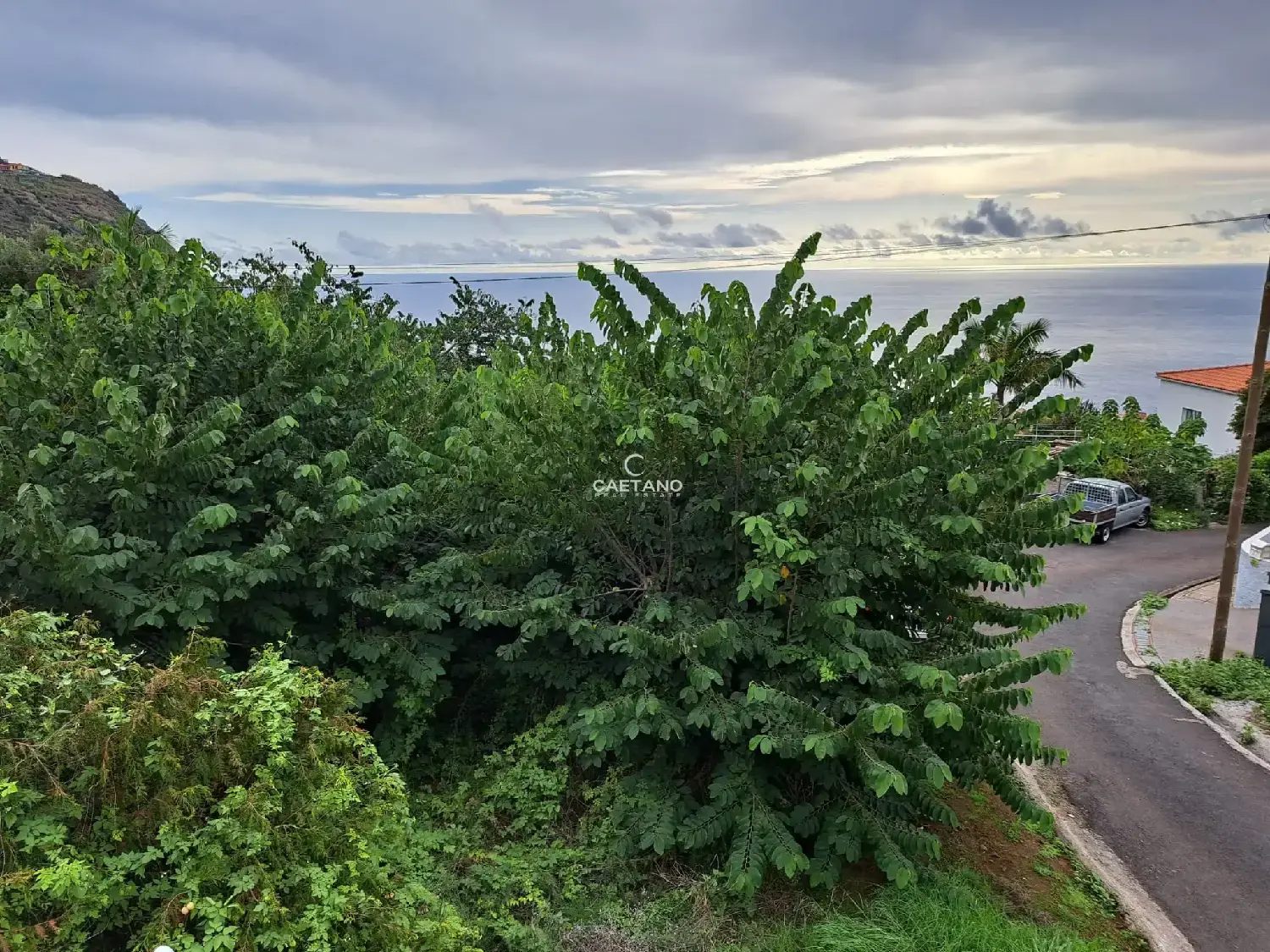  kaufen Villa Calheta Calheta (Madeira) 3
