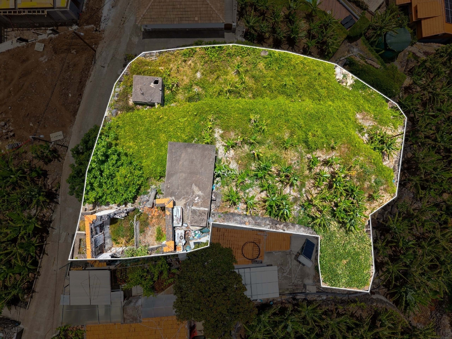  kaufen Villa Calheta Calheta (Madeira) 5