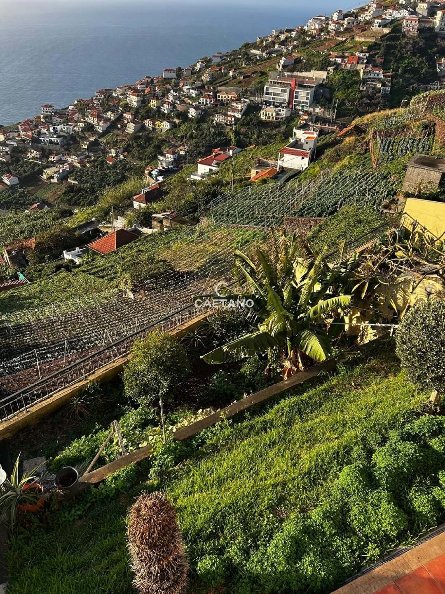  te koop villa Câmara de Lobos Câmara De Lobos 2