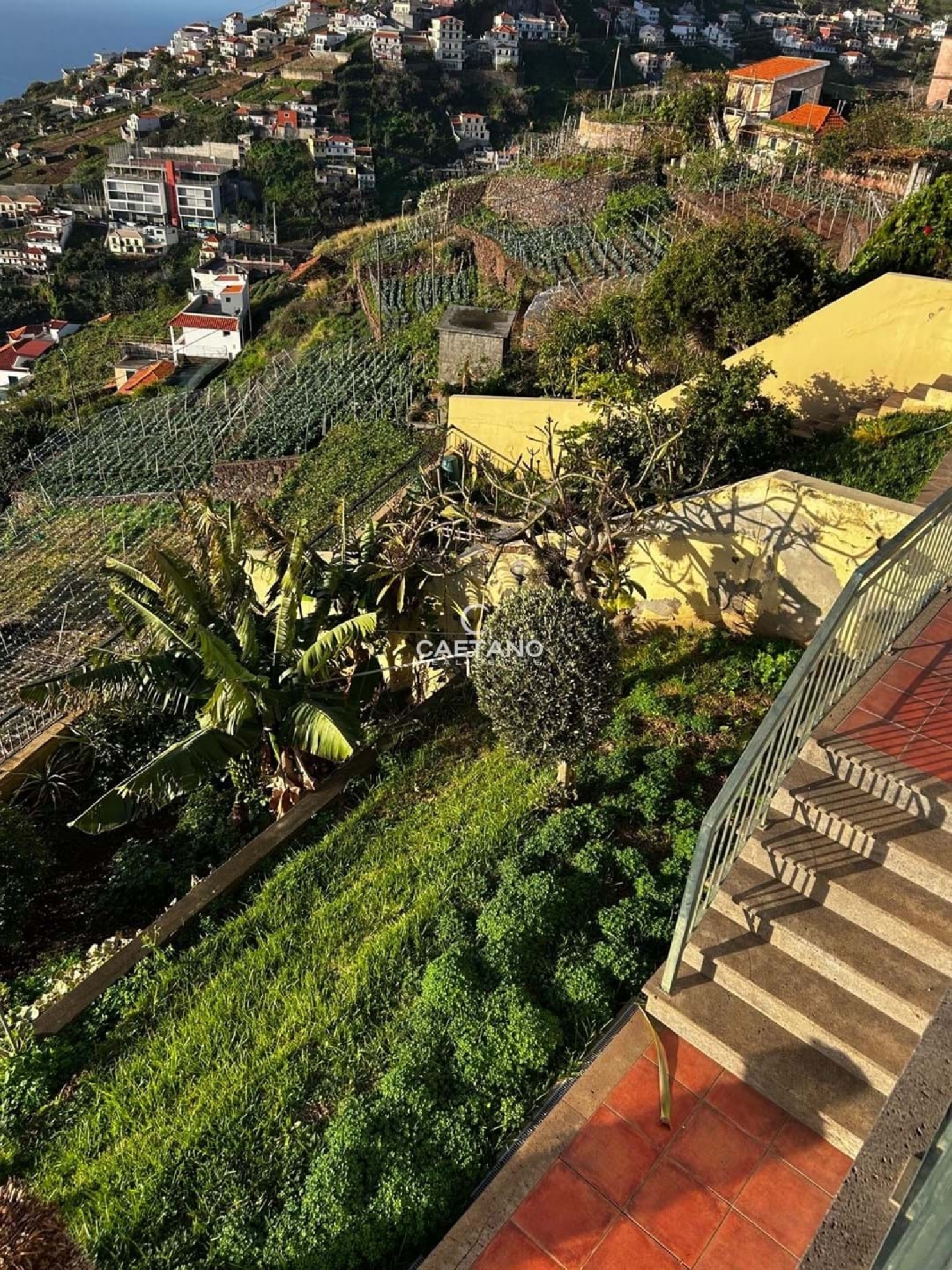  te koop villa Câmara de Lobos Câmara De Lobos 3