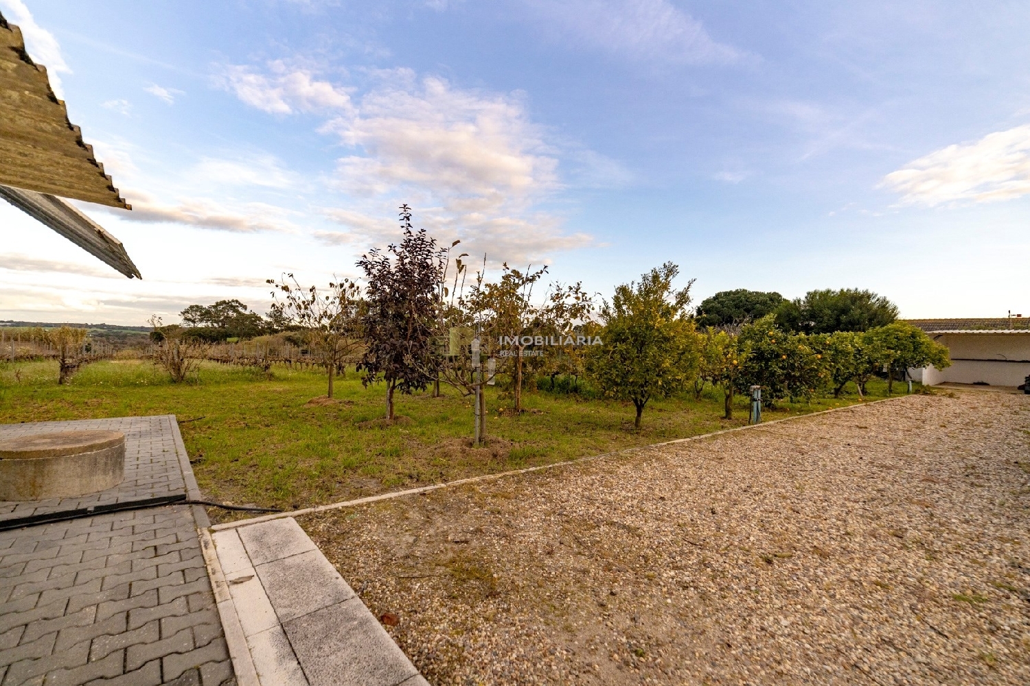  for sale villa Cartaxo Cartaxo 7