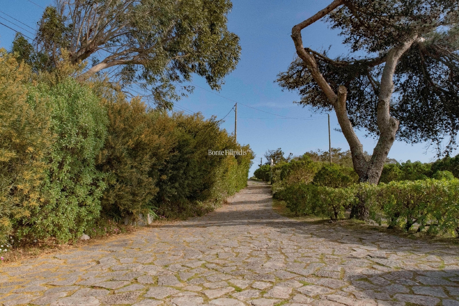  en venta villa Cascais Cascais 5