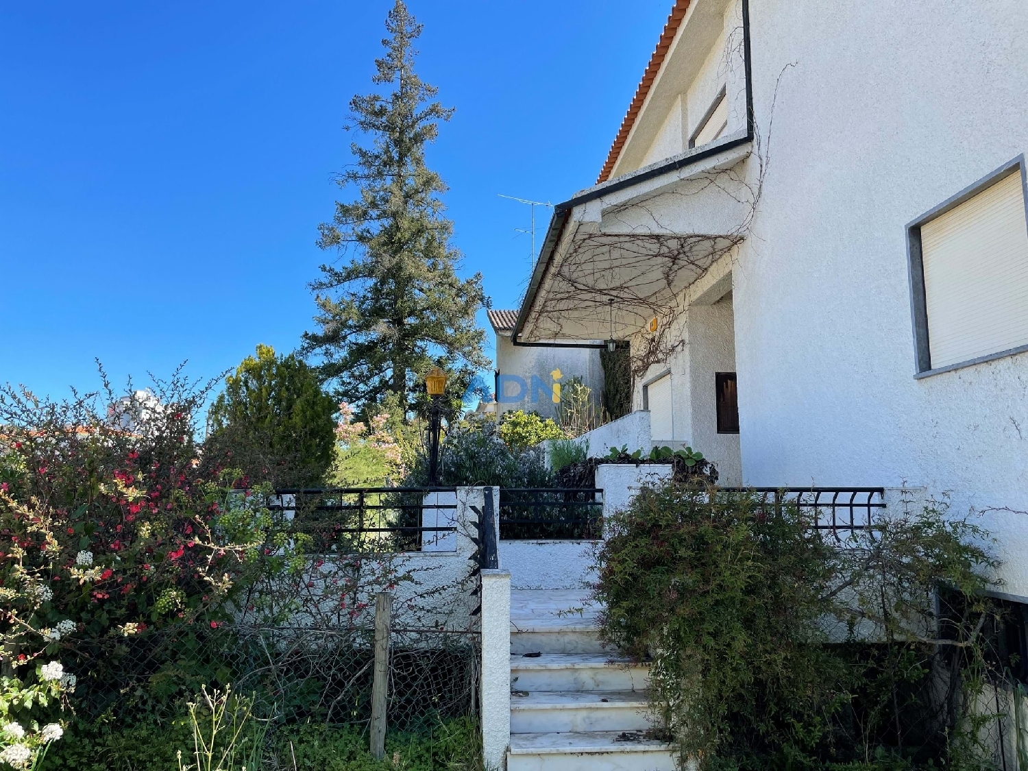  à vendre villa Castelo Branco Castelo Branco 2