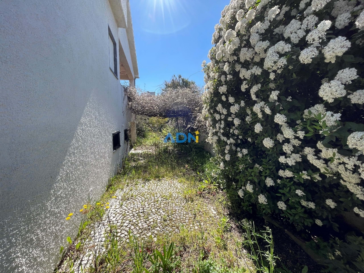  à vendre villa Castelo Branco Castelo Branco 3