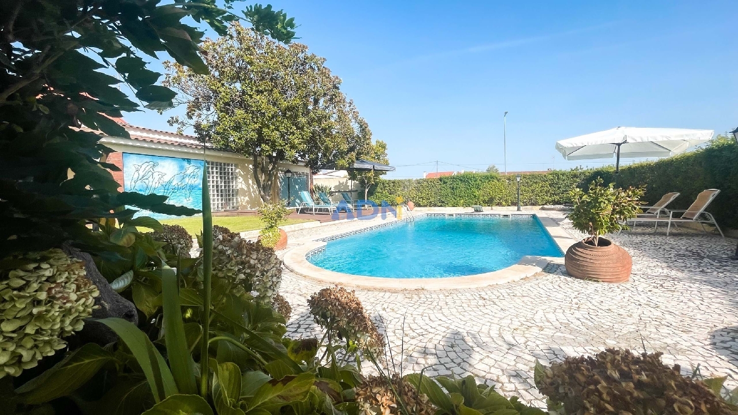  à vendre villa Castelo Branco Castelo Branco 7