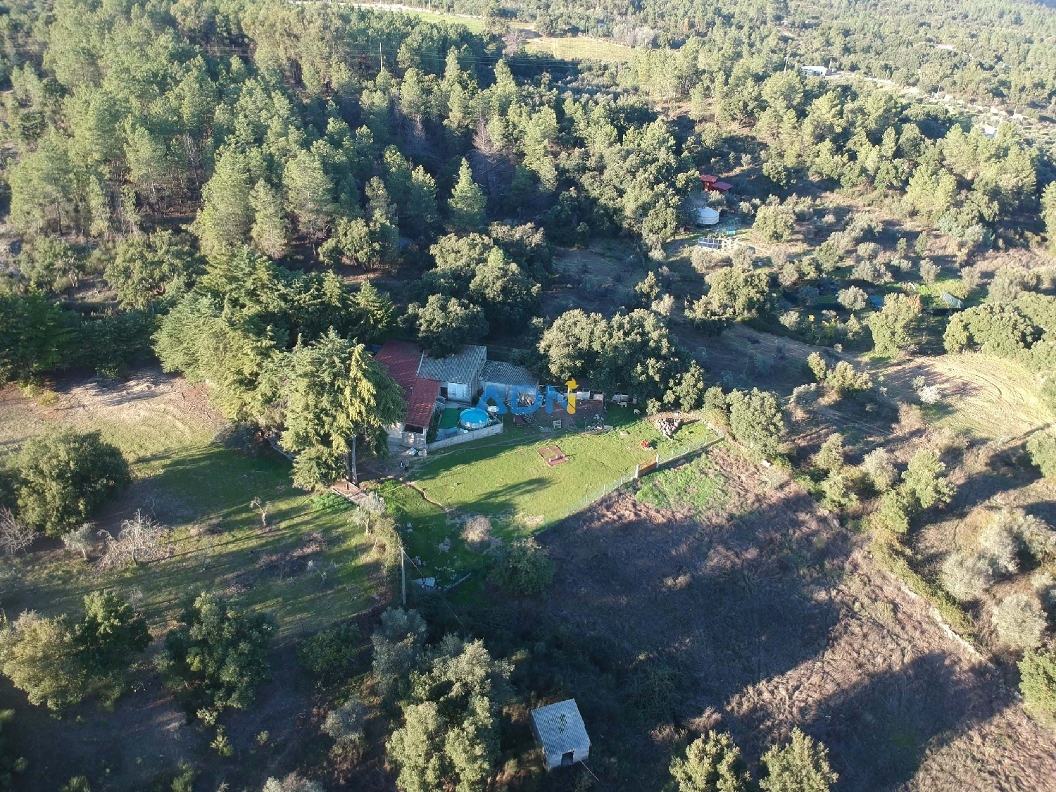  for sale villa Castelo Branco Castelo Branco 1