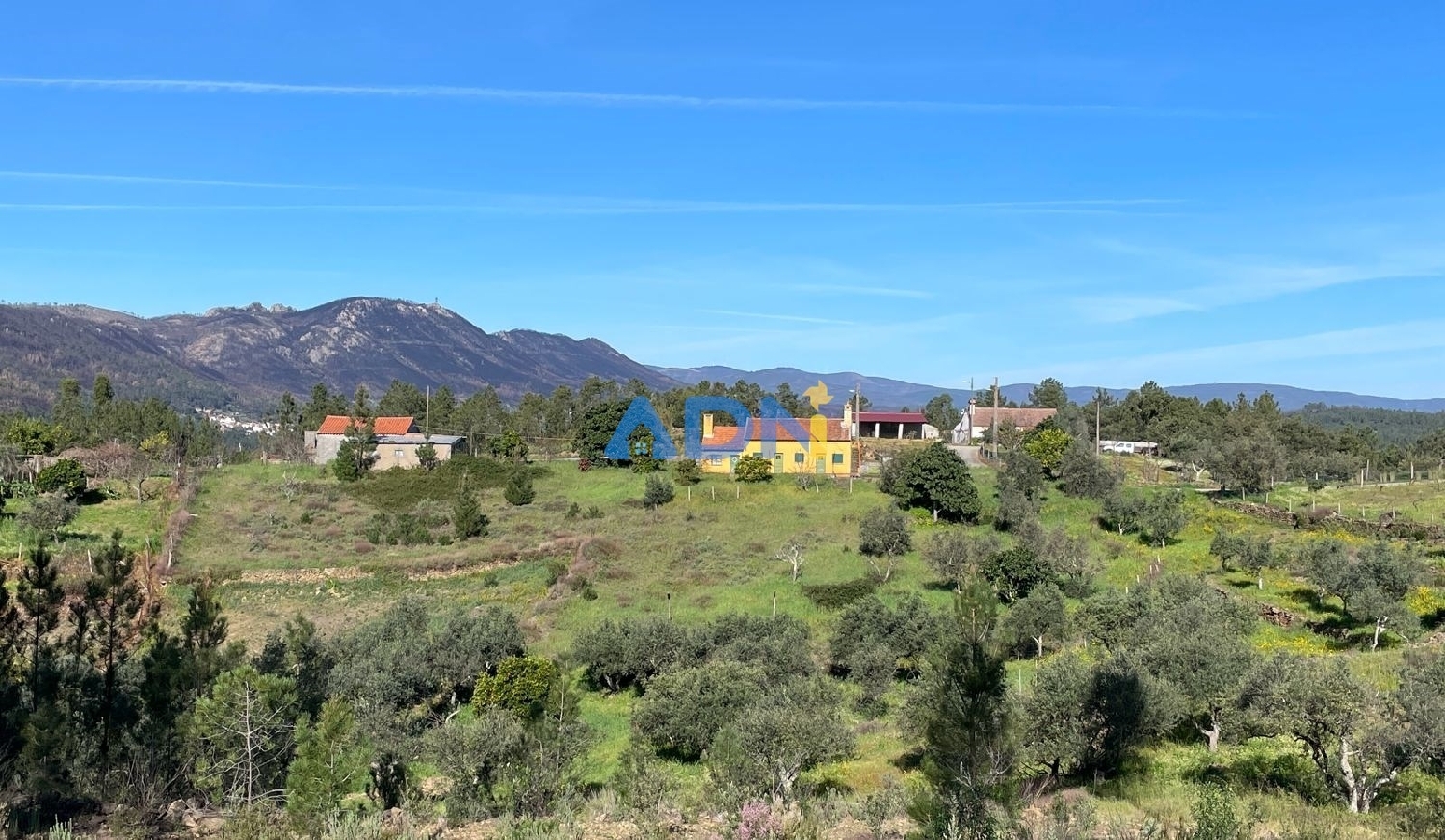  for sale villa Castelo Branco Castelo Branco 1