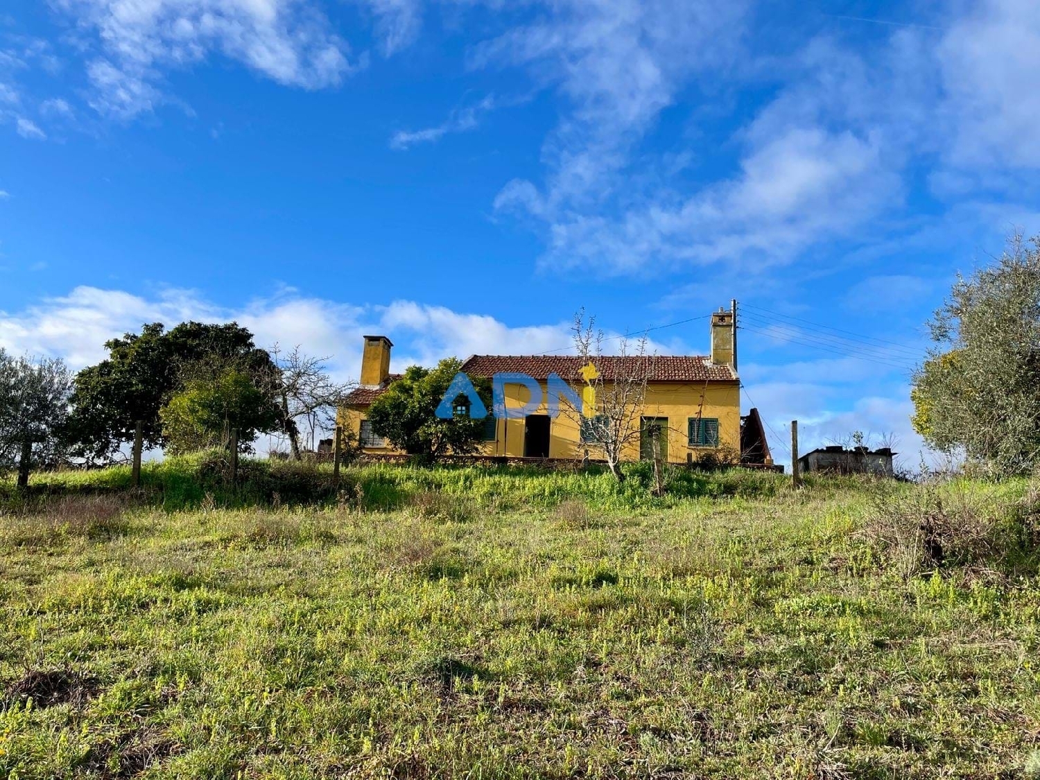  for sale villa Castelo Branco Castelo Branco 3