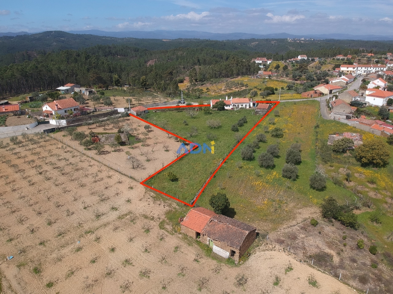 te koop villa Castelo Branco Castelo Branco 1