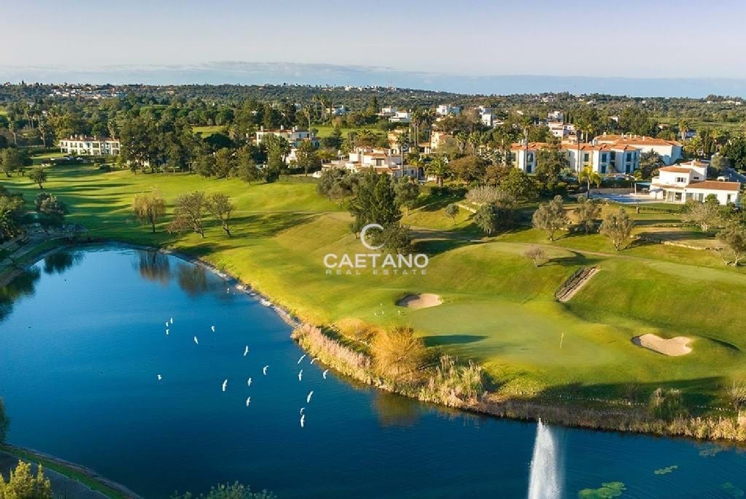  kaufen Villa Lagoa Santana 8