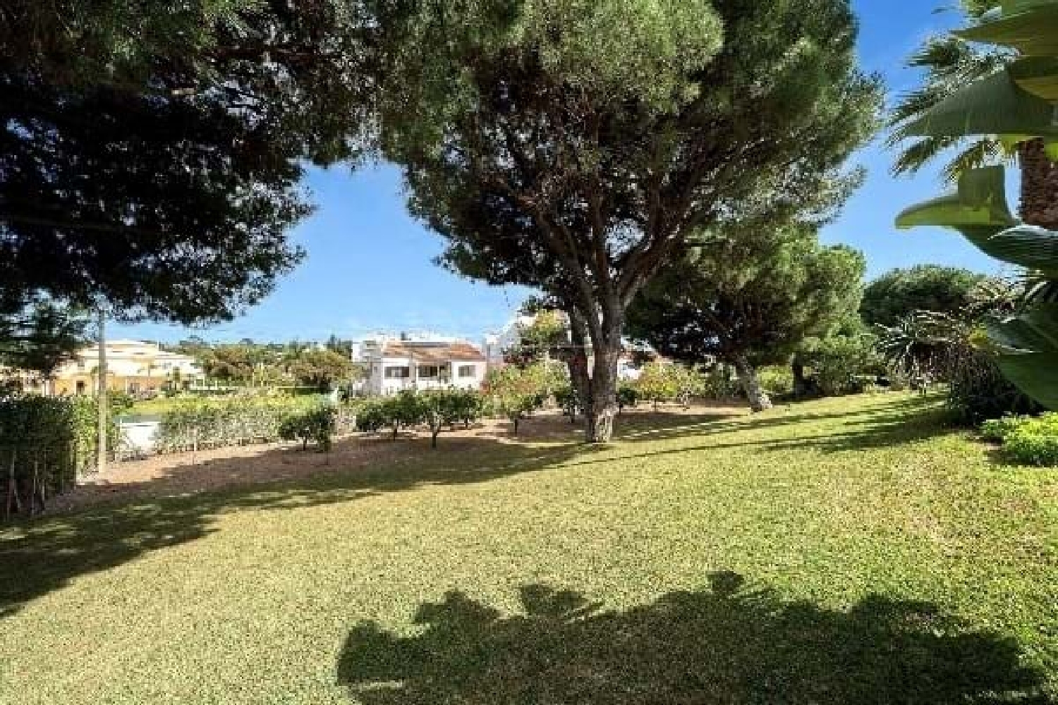  te koop villa Loulé Loulé 6