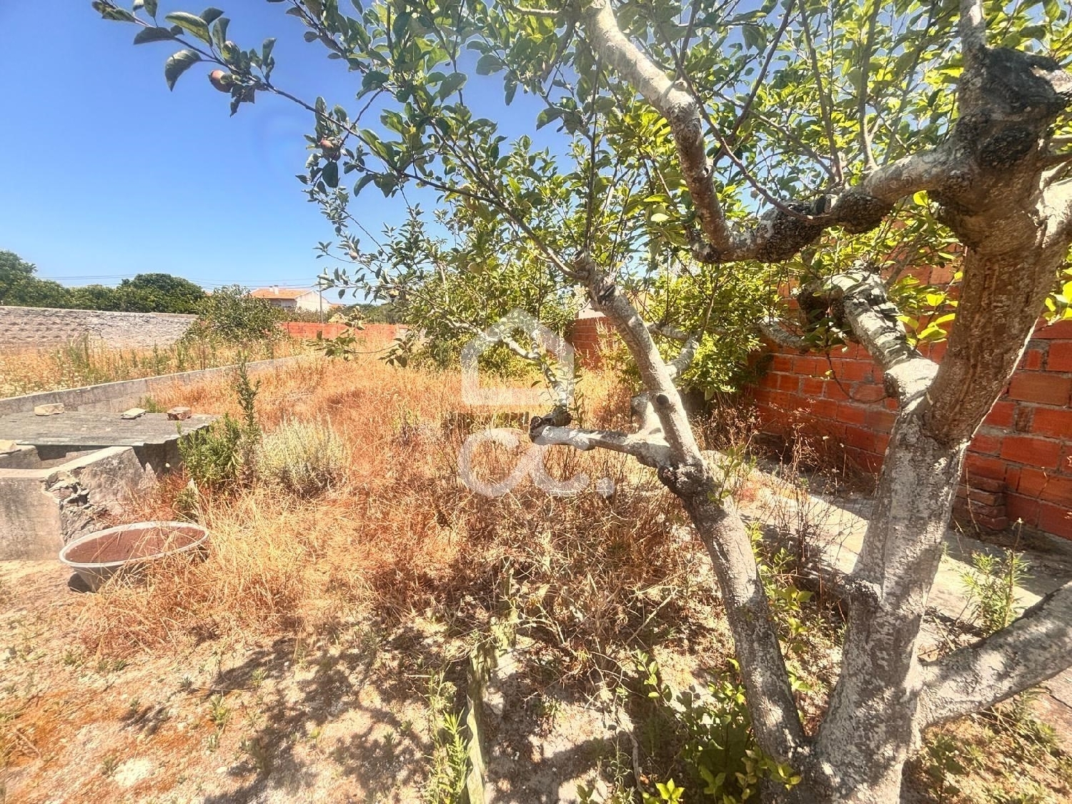  kaufen Villa Marinha Grande Marinha Grande 5