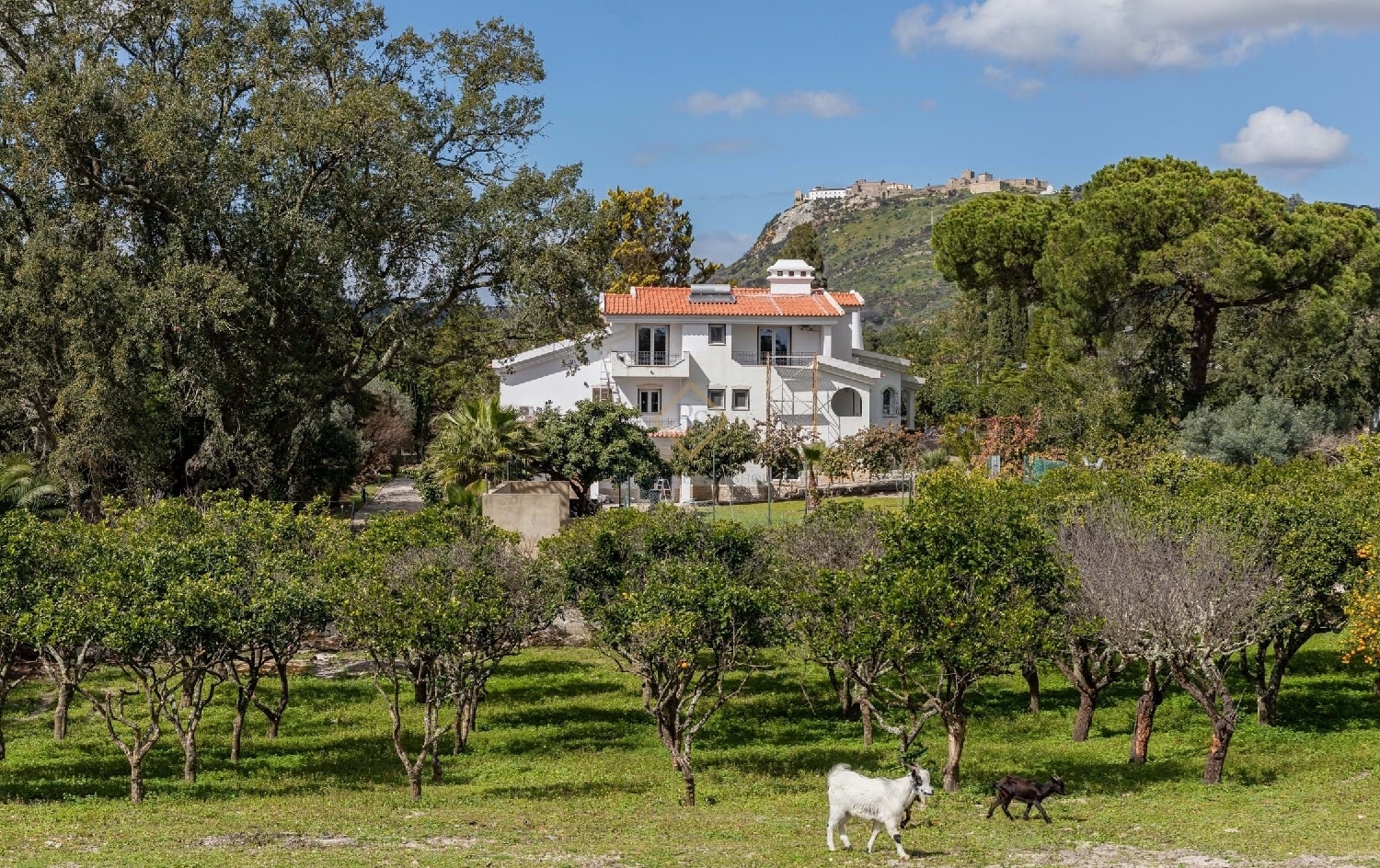  à venda vila Palmela Palmela 4