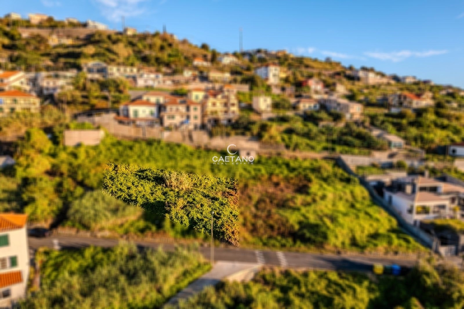 te koop villa Ribeira Brava Ribeira Brava 7