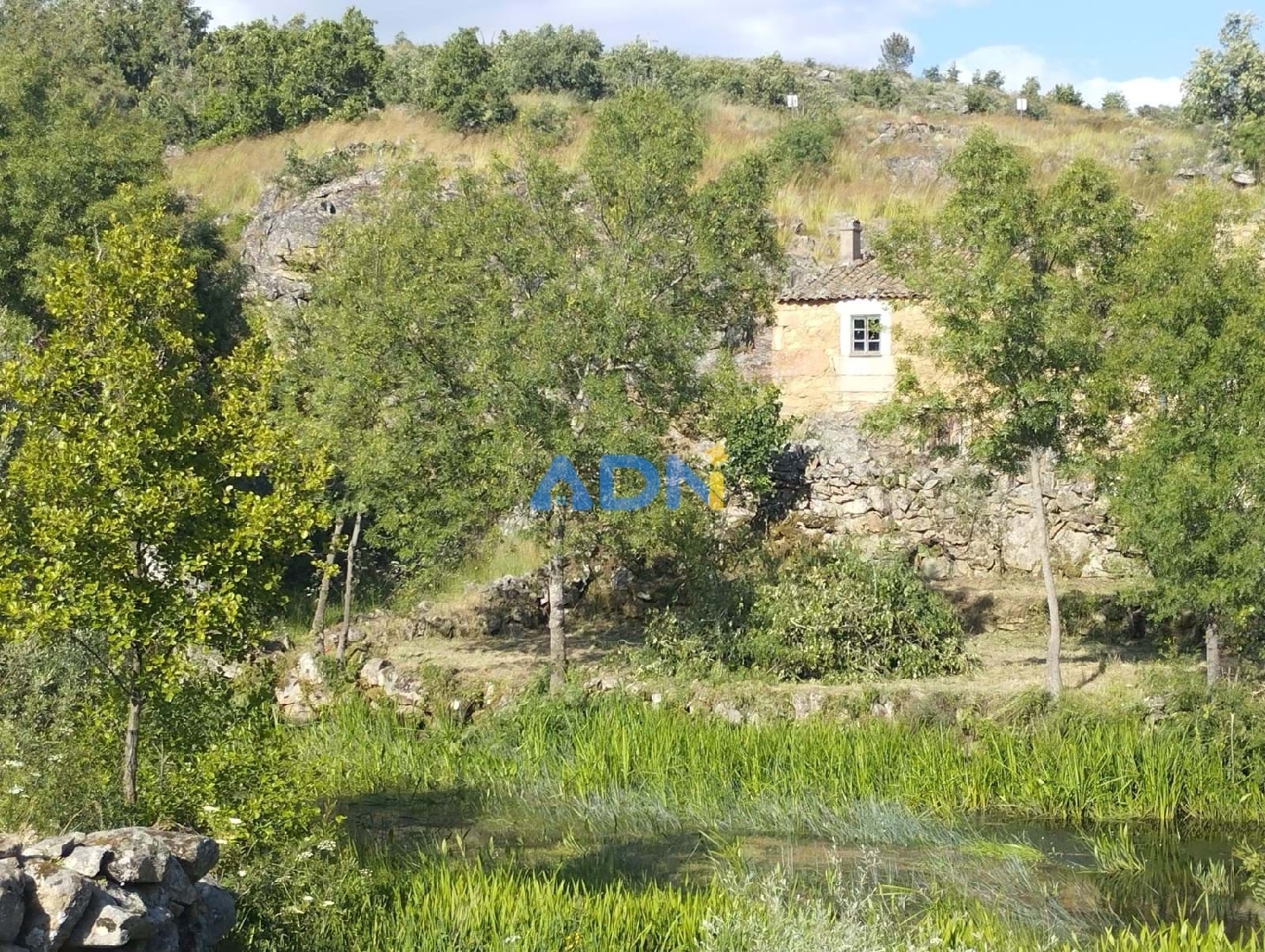  kaufen Villa Sabugal Sabugal 2