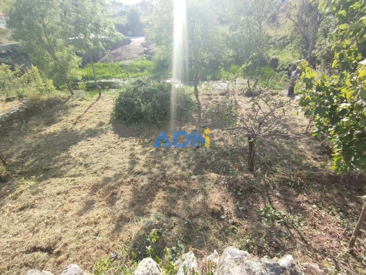  kaufen Villa Sabugal Sabugal 7