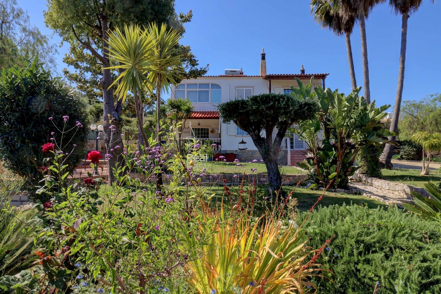  te koop villa São Brás de Alportel São Brás De Alportel 2