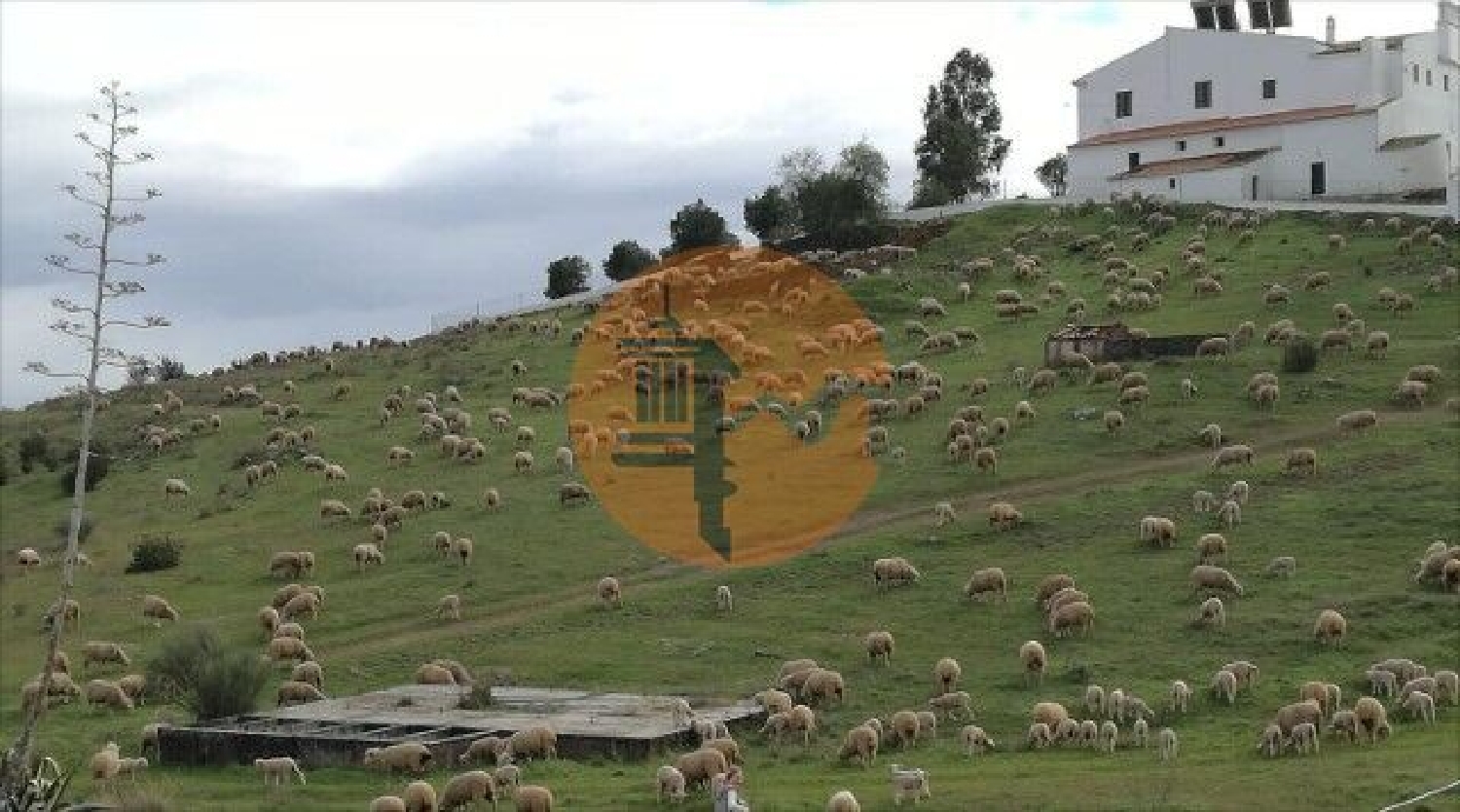 köpa villa São João dos Caldeireiros Mértola 3
