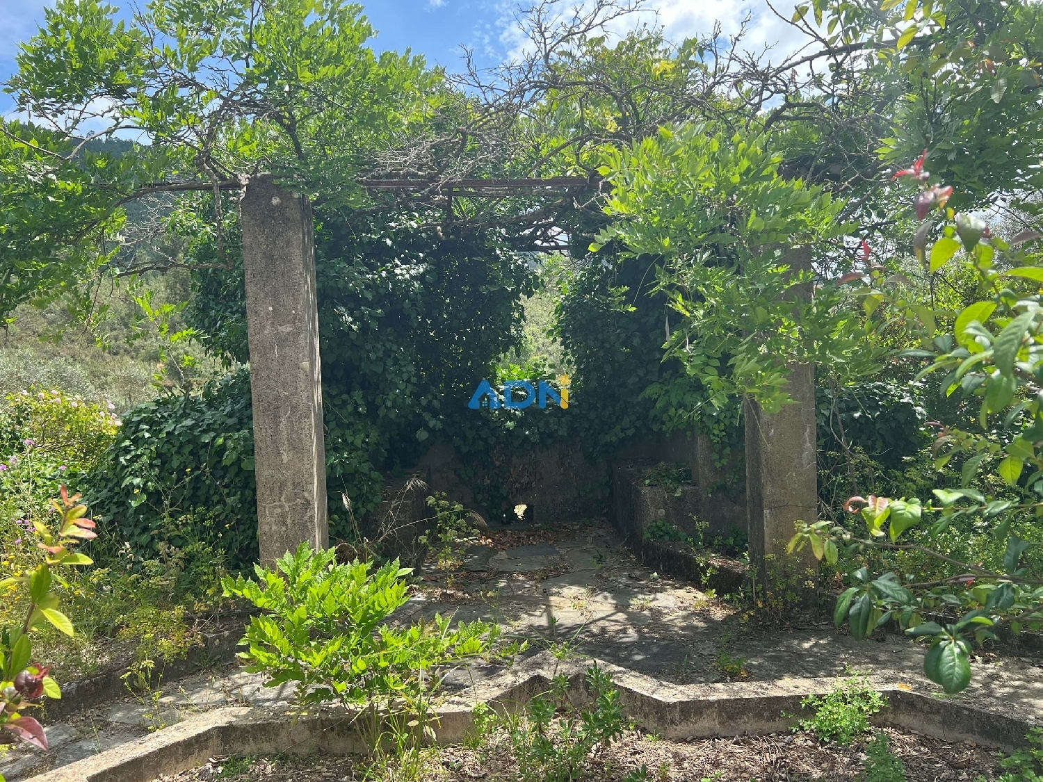  for sale villa Vila Velha de Ródão Vila Velha De Ródão 7