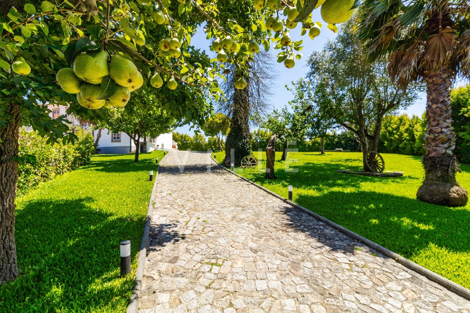  en venta casa Estarreja Estarreja 8