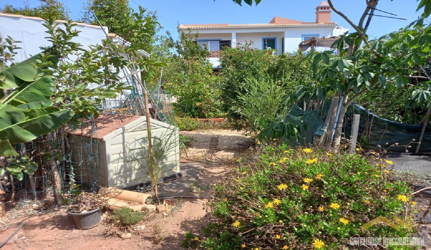  出售 屋 Vila do Bispo Vila Do Bispo 4