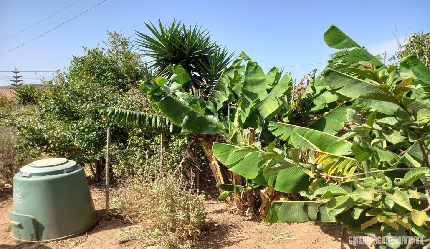  出售 屋 Vila do Bispo Vila Do Bispo 7