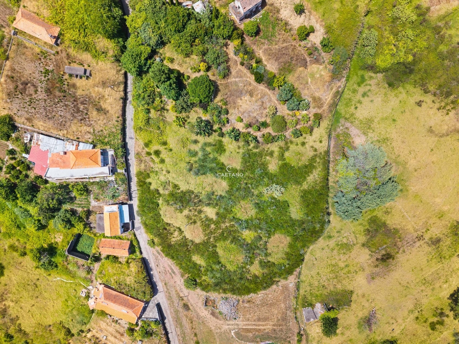  à vendre terrain Calheta Calheta (Madeira) 6